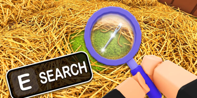 Search For The Needle codes