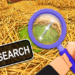Search For The Needle codes