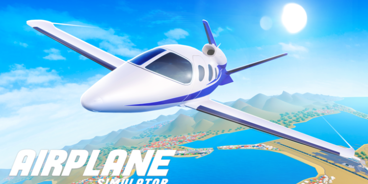 Airplane Simulator codes