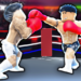 Boxing Beta codes