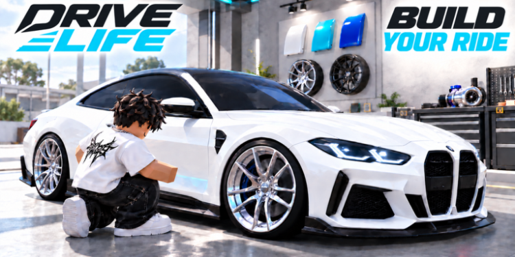 Drive Life: Beta codes