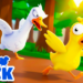 Duck Duck codes