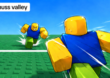 Huss Valley codes