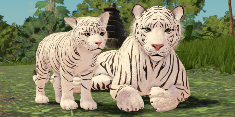 Jungle Life codes