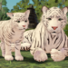 Jungle Life codes