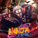 Ninja Time codes