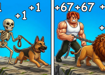 Pets League Race codes