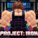Project Iron codes