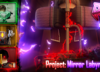 Project Mirror Labyrinth codes