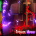 Project Mirror Labyrinth codes