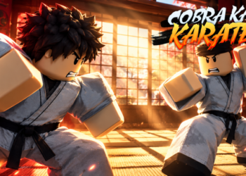 RoKarate codes