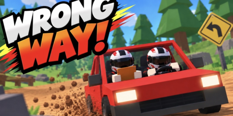 WRONG WAY codes